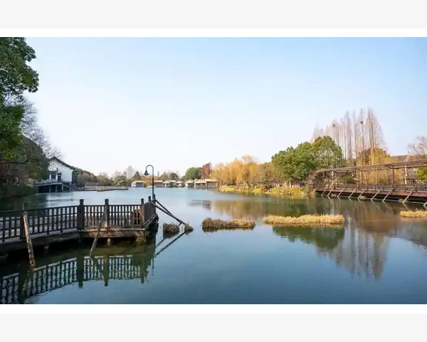 中医针灸：多长时间可以起效？