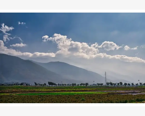 化痰降脂丸：中医经典丸剂的有效疗法